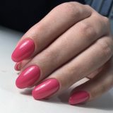 chic-1