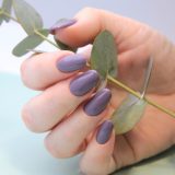 willow-1