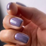 willow-2